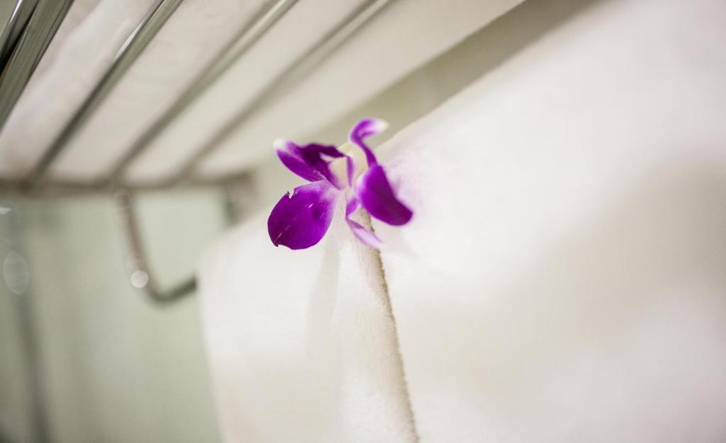 White Snow Hotel Da Nang Room photo
